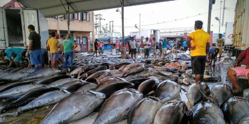 Negombo: Fishing Village Highlights Private Tour by Tuk Tuk - Who Should Consider This Tour?