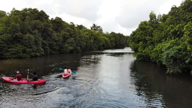 Negombo: Guided Kayaking Tour in the Lagoon - An Inviting Introduction to the Negombo Kayaking Experience