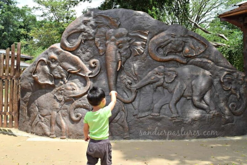 Negombo: Kandy and Pinnawala Elephant Orphanage Day Tour - The Experience Provider: Sri Sri Lanka Tours