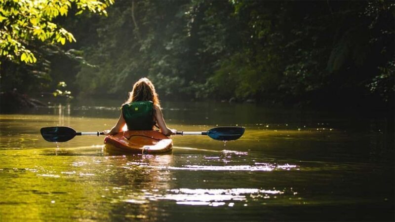 Negombo: Kayaking in the Lagoon - What Makes This Kayaking Tour Stand Out?