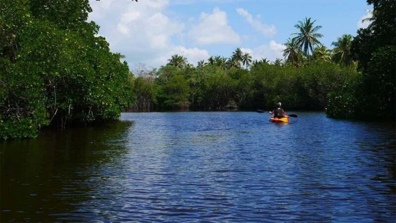 Negombo: Kayaking in the Lagoon - The Value of the Experience