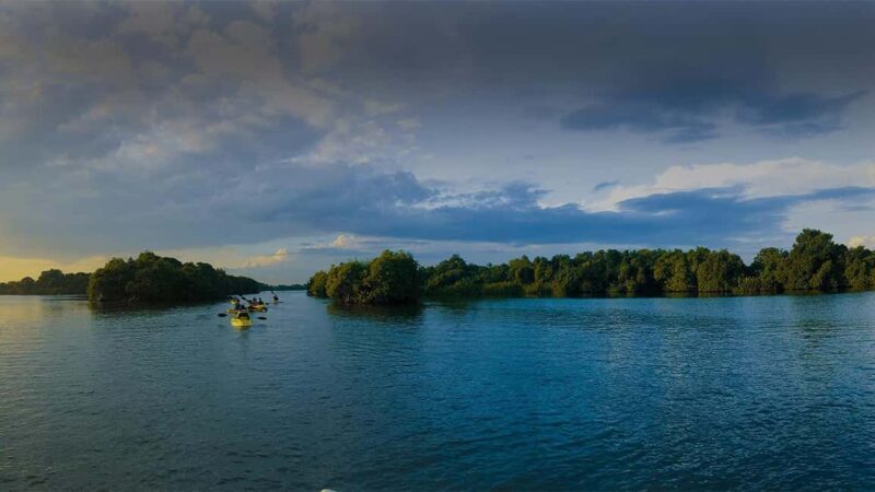 Negombo: Kayaking in the Lagoon - The Sum Up