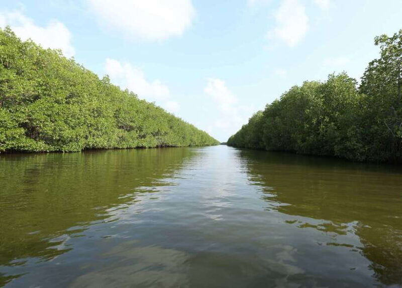 Negombo Lagoon (Mangrove ) Boat Excursion - FAQ