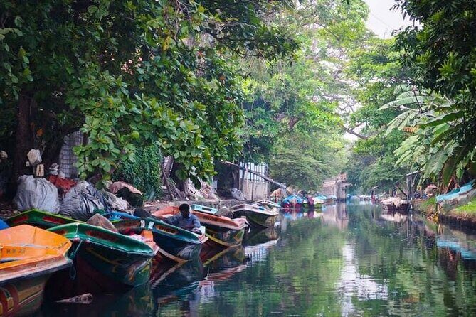 Negombo Lagoon & Muthurjawela Bird Watching Boat Tour - Analyzing the Value