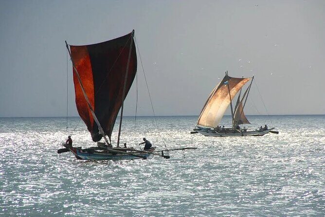 Negombo Lagoon & Muthurjawela Bird Watching Boat Tour - Who Should Consider This Tour?