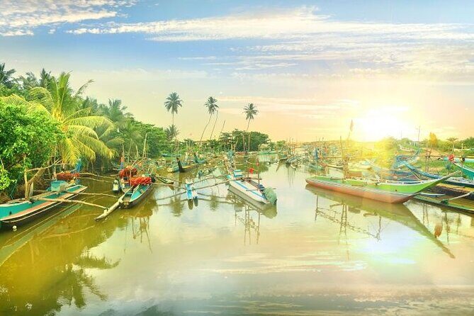 Negombo Lagoon & Muthurjawela Bird Watching Boat Tour - Final Thoughts: Is It Worth It?