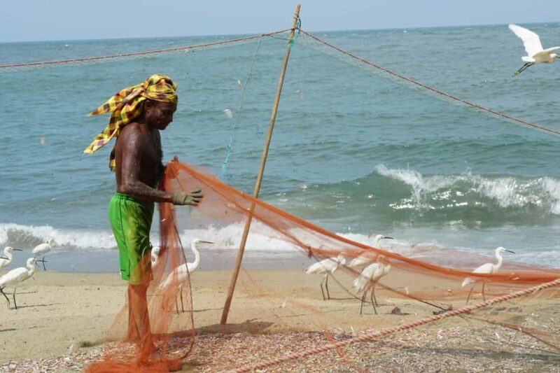 Negombo Private Tour: Market, Temples & Canal - Who Will Love This Tour?