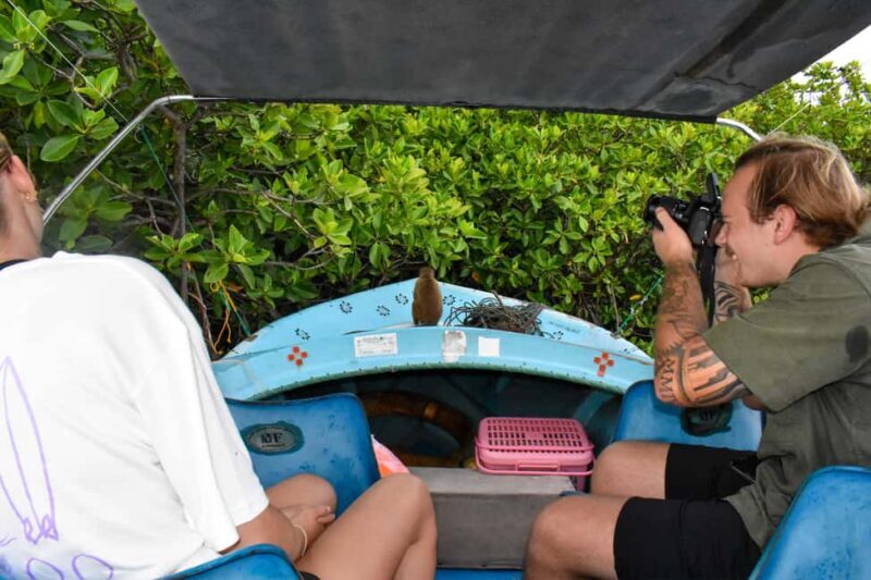 Negombo: Sunset lagoon boat tour with hotel transfers - Key Points