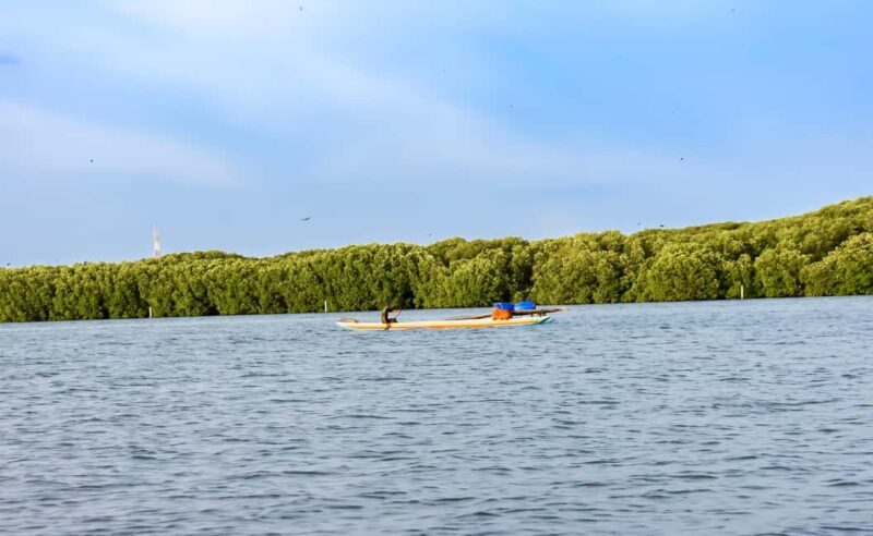 Negombo: Sunset lagoon boat tour with hotel transfers - Who Will Love This Tour?