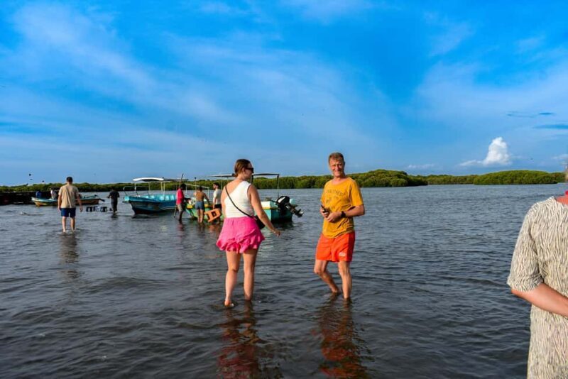 Negombo: Sunset lagoon boat tour with hotel transfers - Final Thoughts