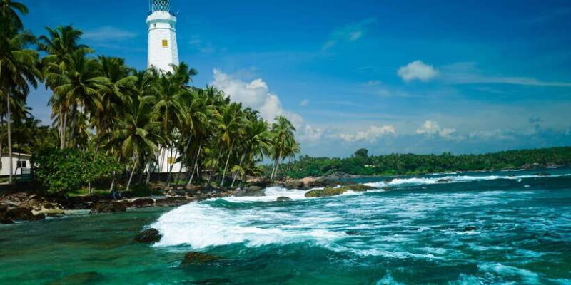 Negombo: Turtle hatchery, River safari, moon stone & Galle - An Introduction to the Experience