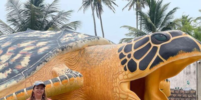 Negombo: Turtle hatchery, River safari, moon stone & Galle - What’s Included and What to Budget For