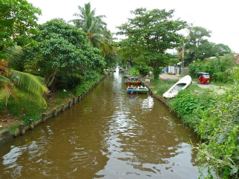 Negombo:Dutch Canal, Lagoon, Muthurajawela Private Boat Tour - Introduction