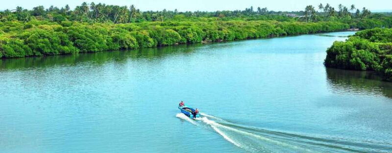 Negombo:Dutch Canal, Lagoon, Muthurajawela Private Boat Tour - Breaking Down the Itinerary