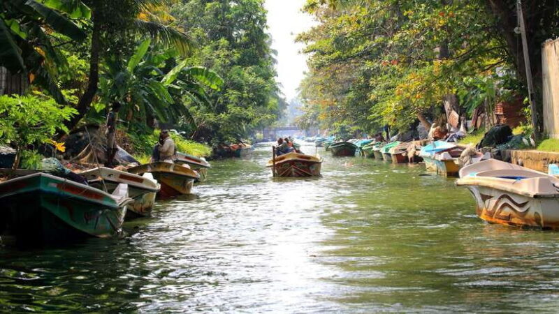 Negombo:Dutch Canal, Lagoon, Muthurajawela Private Boat Tour - The Experience on the Water