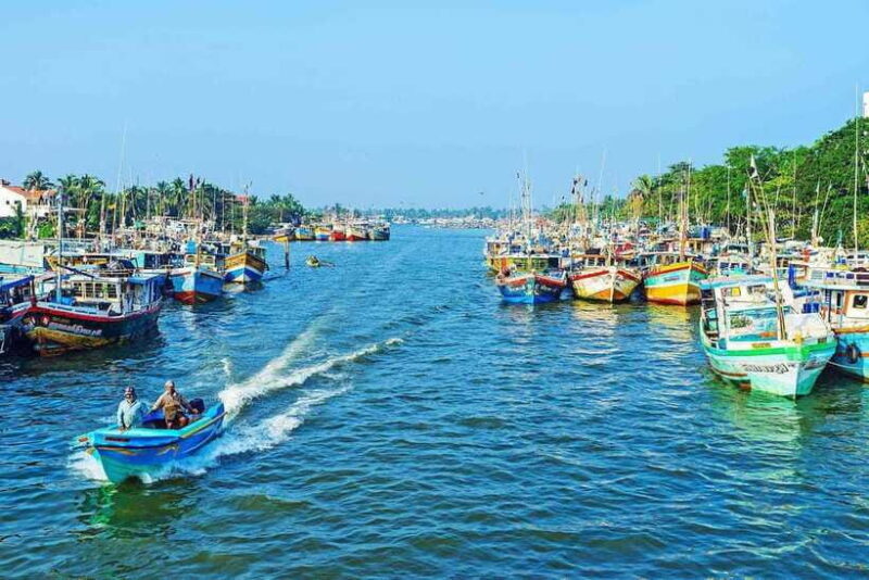 Negombo:Dutch Canal, Lagoon, Muthurajawela Private Boat Tour - The Sum Up