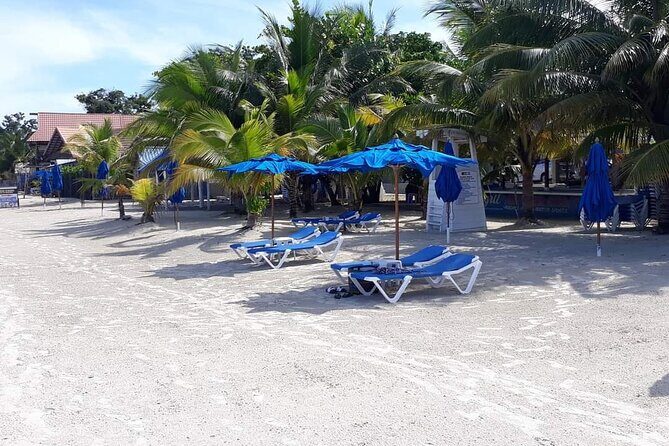 Negril 7 Miles Beach and Rick's Cafe Tour - Exploring the Negril 7 Miles Beach and Ricks Cafe Tour