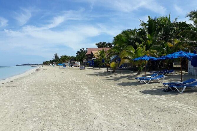 Negril 7 Miles Beach and Rick's Cafe Tour - Authenticity and Value