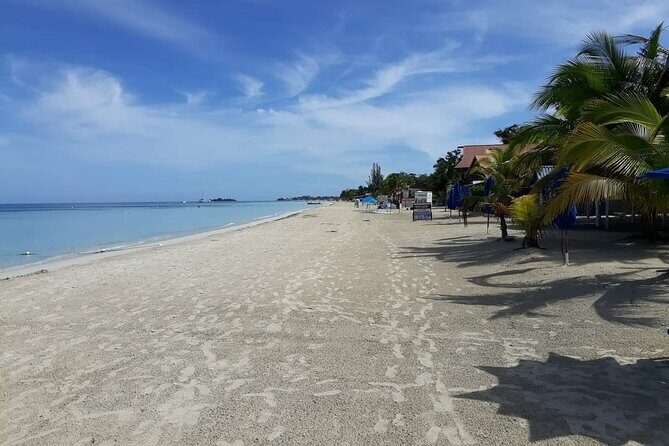 Negril 7 Miles Beach and Rick's Cafe Tour - Who Should Consider This Tour?