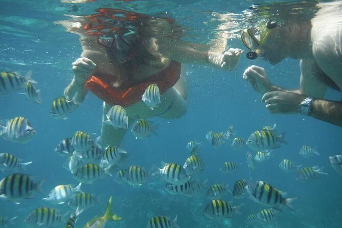 Negril Lobster Lunch on Booby Cay & Snorkeling To a Sunken Cannon - Key Points