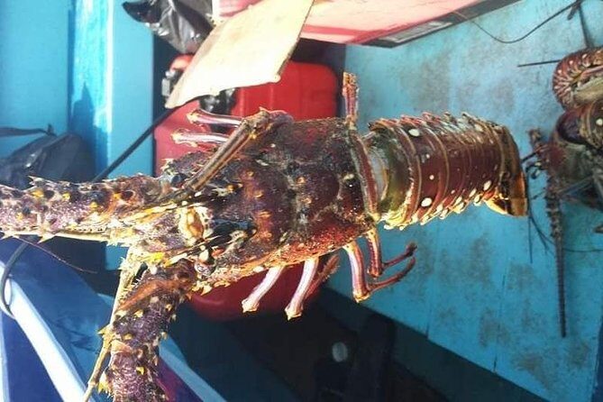 Negril Lobster Lunch on Booby Cay & Snorkeling To a Sunken Cannon - Authentic Experiences and What Sets This Tour Apart