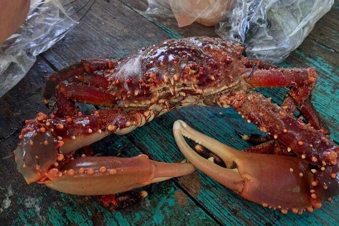 Negril Lobster Lunch on Booby Cay & Snorkeling To a Sunken Cannon - FAQ