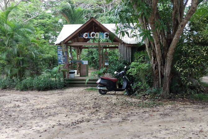 Negril Private and Public Beach with Ricks Cafe from Montego Bay - Frequently Asked Questions