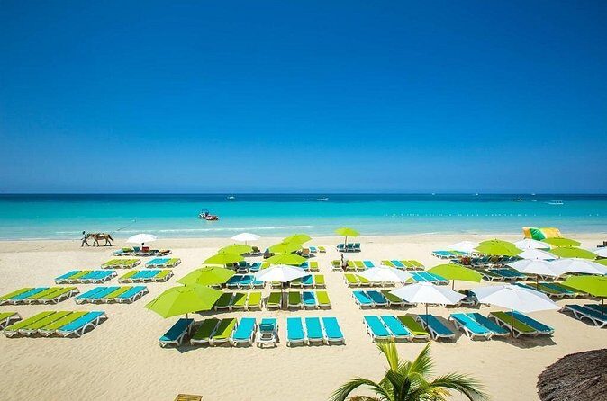 Negril's Private Day Trip with Margaritaville and Rick's Cafe - Who This Tour Is Best For