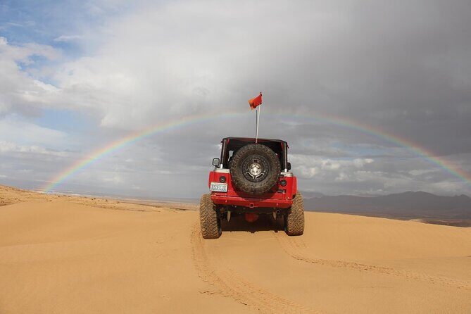 Nellis Desert Exploration Jeep Tour Off Road You Drive We Guide - What Makes This Tour Stand Out?
