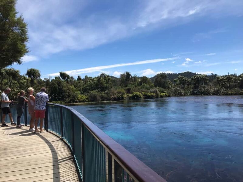 Nelson: Abel Tasman Cruise-Fly Day Tour - What We Love and What to Consider