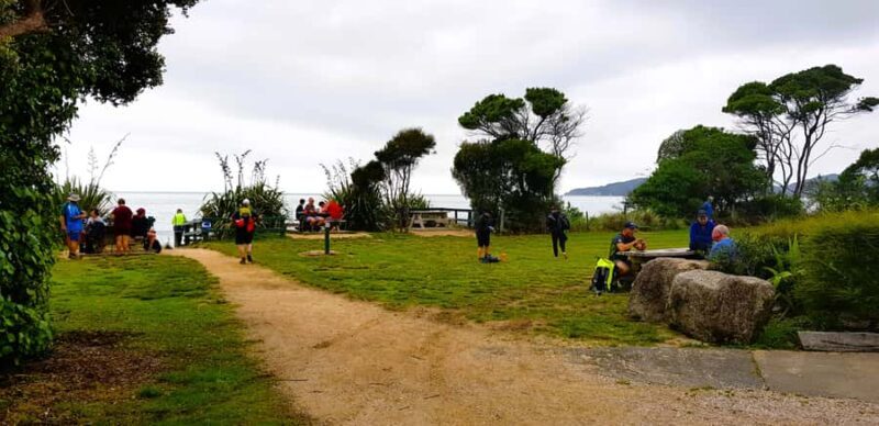 Nelson: Abel Tasman Cruise-Fly Day Tour - The Sum Up