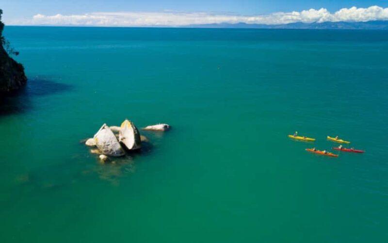 Nelson: Abel Tasman Kayaking & Great Taste Trail Bike Tour - A Deep Dive Into the Experience