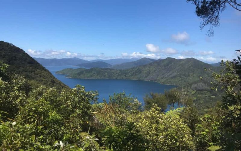 Nelson: Abel Tasman Kayaking & Great Taste Trail Bike Tour - In The Sum Up
