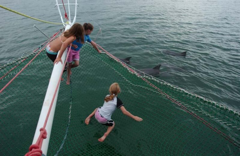 Nelson Bay: Dolphin Watch Cruise and Sail - What to Expect on the Nelson Bay Dolphin Cruise