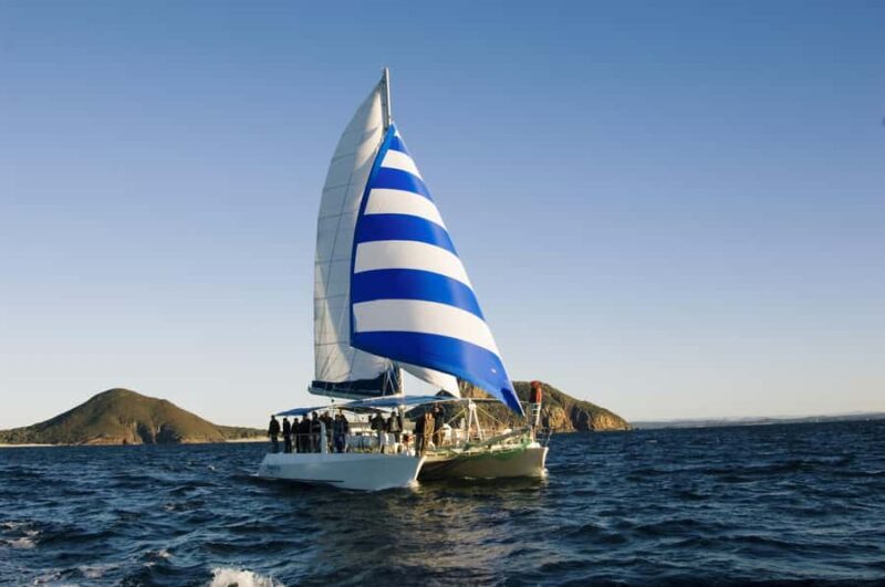 Nelson Bay: Dolphin Watch Cruise and Sail - The Value of the Experience