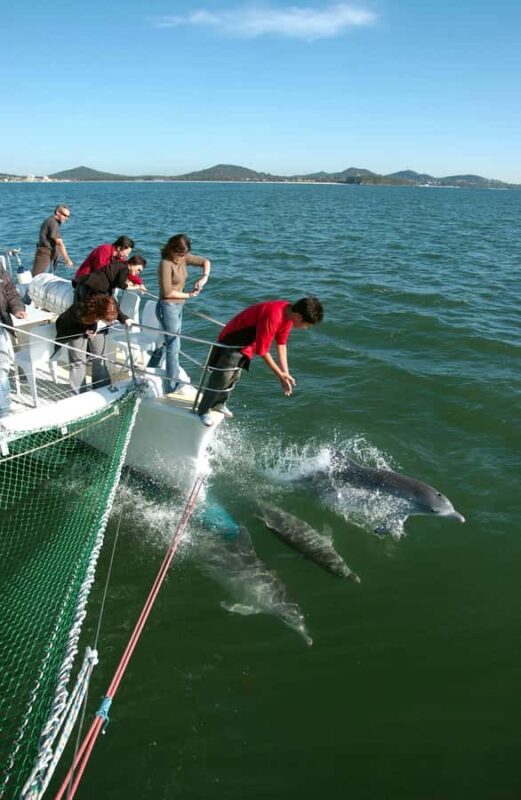 Nelson Bay: Dolphin Watch Cruise and Sail - Final Thoughts: Who Will Love This Tour?