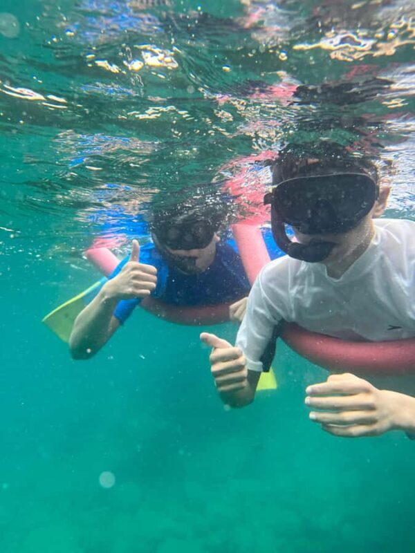 Nelson Bay: Marine Discovery Cruise with Snorkeling - What You Should Know Before Booking
