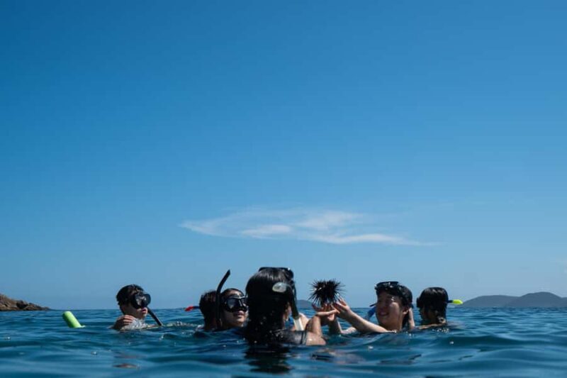 Nelson Bay: Marine Discovery Cruise with Snorkeling - Authentic Experiences Based on Reviews