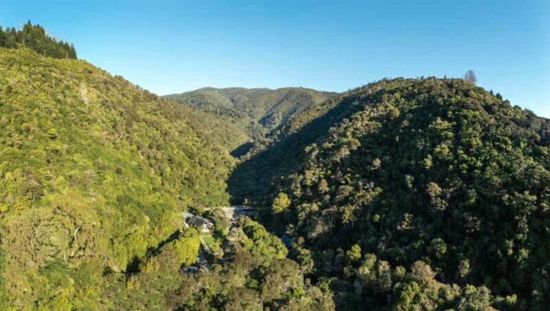 Nelson: Brook Waimrama Sanctuary Entry Ticket - Key Points