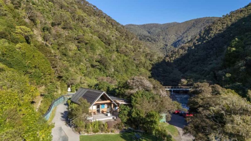 Nelson: Brook Waimrama Sanctuary Entry Ticket - What to Expect at the Brook Waimarama Sanctuary