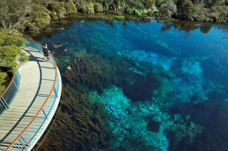 Nelson: Cruise Abel Tasman National Park to Golden Bay Tour - Who Will Love This Tour?
