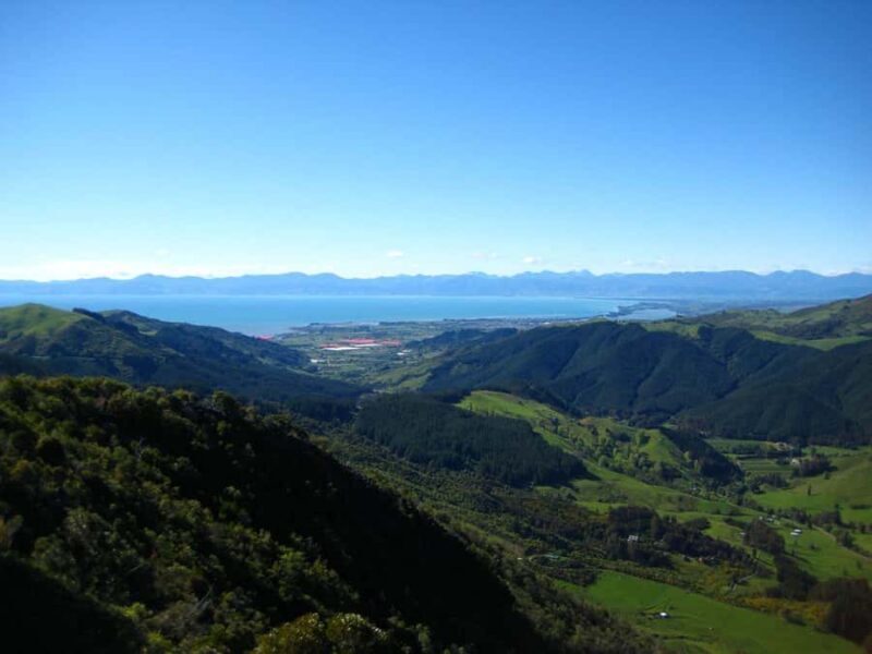 Nelson: Cruise Abel Tasman National Park to Golden Bay Tour - The Sum Up