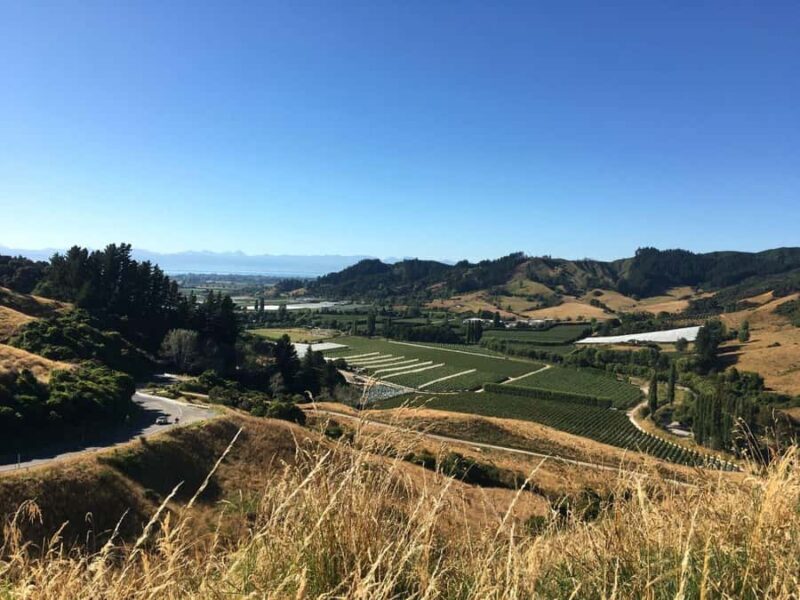 Nelson: Golden Bay in a Day Tour - FAQ
