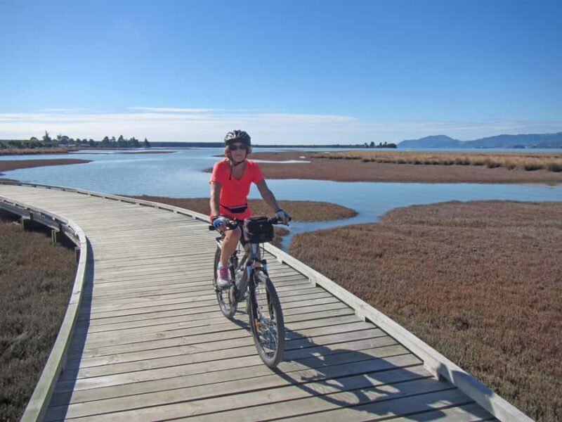 Nelson: Great Taste Trail Coastal Bike Ride to Mapua - What the Reviews Say