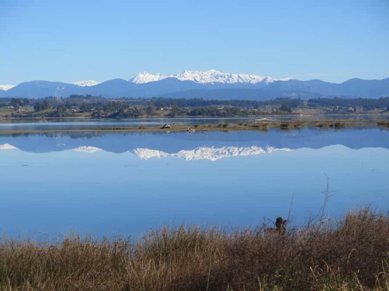 Nelson: Great Taste Trail Coastal Bike Ride to Mapua - Detailed Breakdown of the Experience