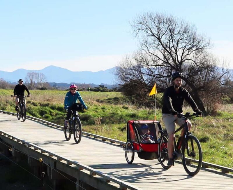 Nelson: Great Taste Trail Coastal Bike Ride to Mapua - Who Will Love This Tour?