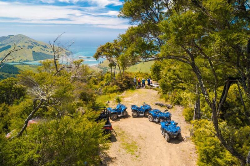 Nelson: Guided Quad Biking Tour Through Forest and Farmland - An Overview of the Nelson Quad Biking Experience