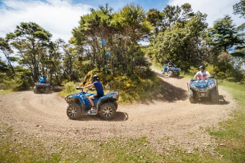 Nelson: Guided Quad Biking Tour Through Forest and Farmland - The Experience’s Impact and Value