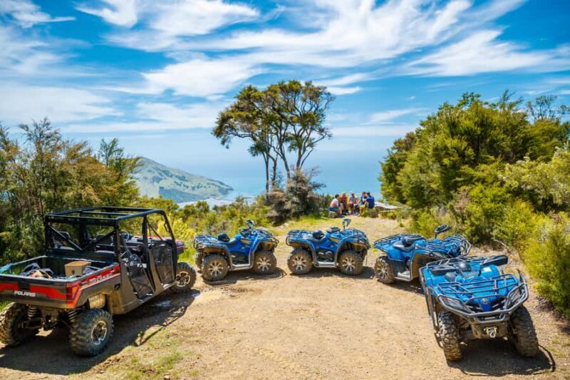 Nelson: Guided Quad Biking Tour Through Forest and Farmland - The Bottom Line: Who Will Love This Tour?