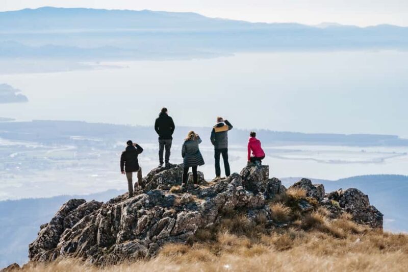 Nelson: Helicopter Flight with Mountain Landing & Bay Views - An Up-Close Look at the Experience